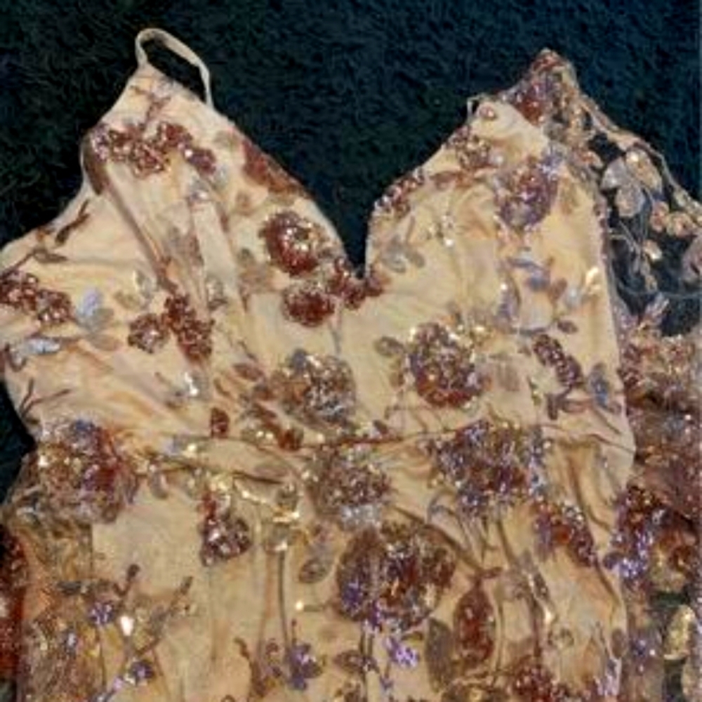 Brand New Sequin Dress